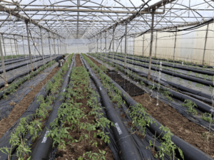 martel installation thermitube